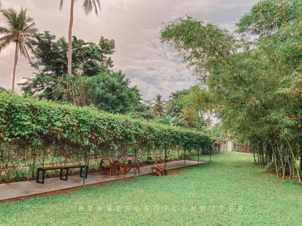 Dreamink Farm Og Myl'S Place Sorsogon 외부 사진